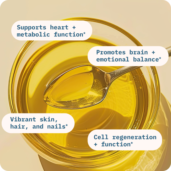 Xidrax® Balance Oil (Omega 6 + 3)