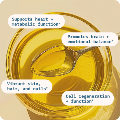 Xidrax® Balance Oil (Omega 6 + 3)